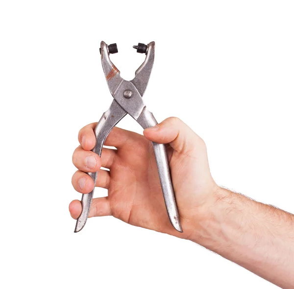 Eyelet plier — Stock Photo, Image