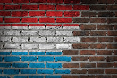 tuğla duvar dokusu ile bayrak