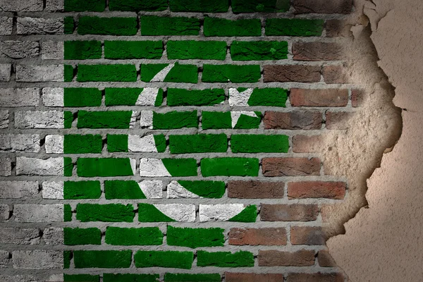 Стена из темного кирпича с гипсом - Пакистан — стоковое фото