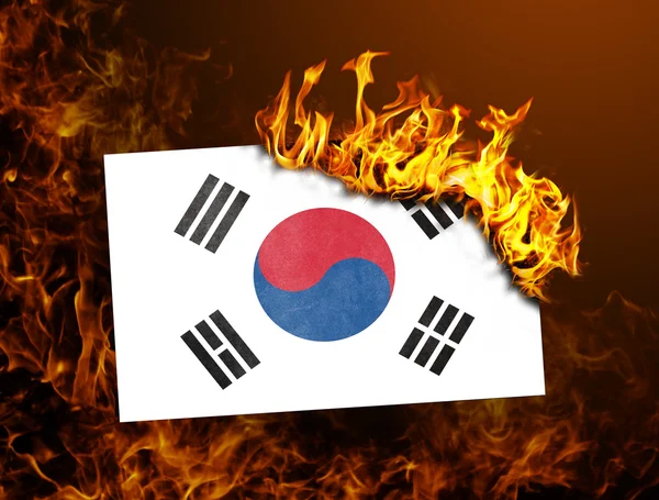 Flag burning - South Korea — Stock Photo, Image