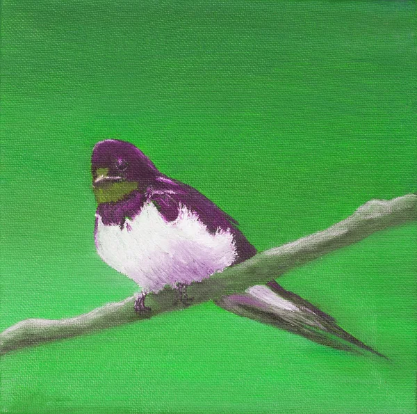 Painting, adult swallow — Stock Photo, Image