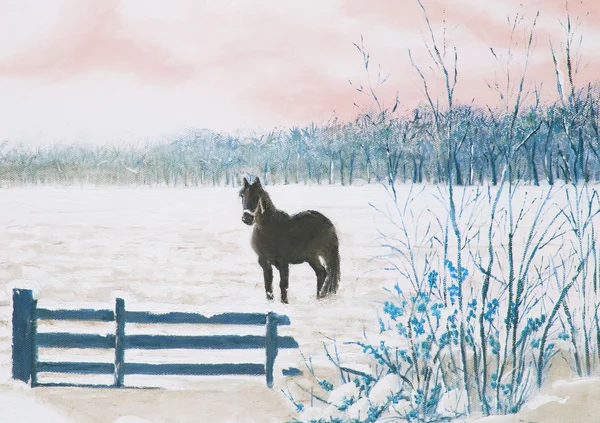 Фризская лошадь на заснеженном лугу — стоковое фото