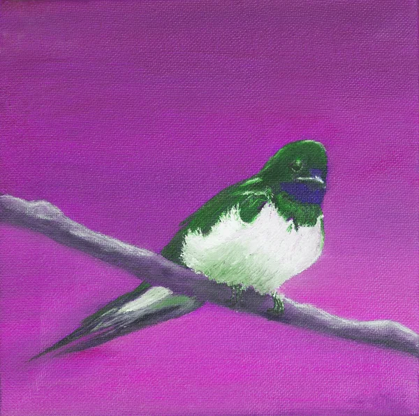 Painting, adult swallow — Stock Photo, Image