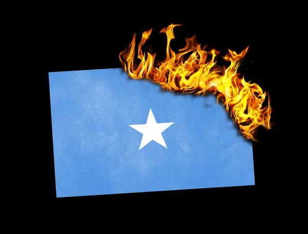 Flaggbrenning - Somalia – stockfoto