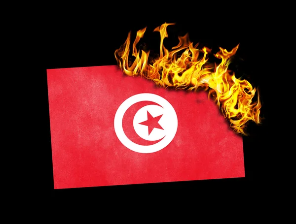 Brûlage des drapeaux - Tunisie — Photo