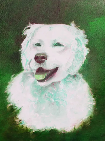 Malarstwo białego psa — Zdjęcie stockowe