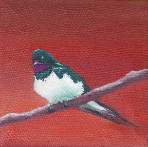 Painting, adult swallow — Stock Photo, Image