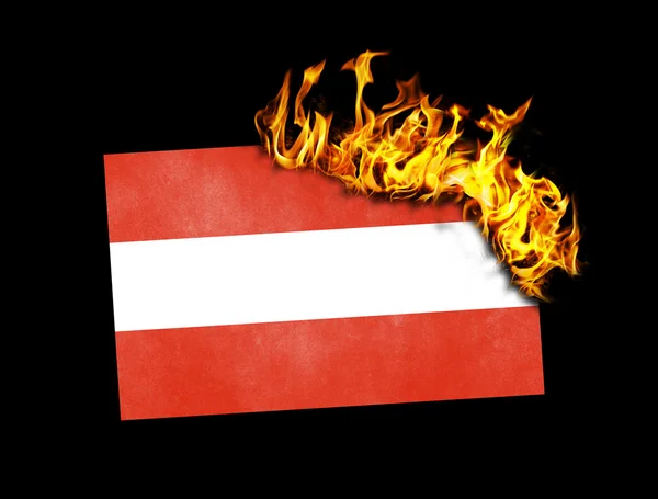 Flag burning - Austria — Stock Photo, Image