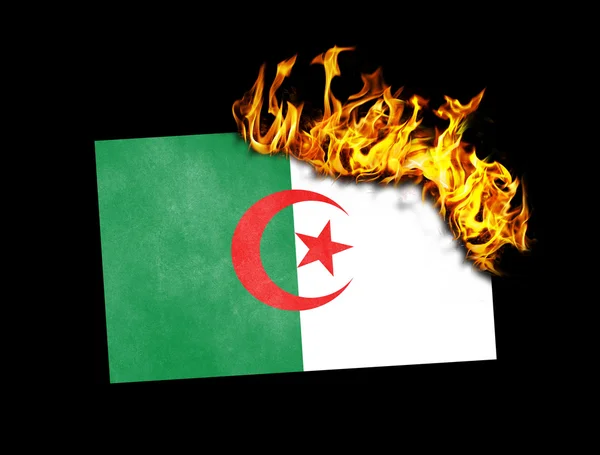 Flagga burning - Algeriet — Stockfoto