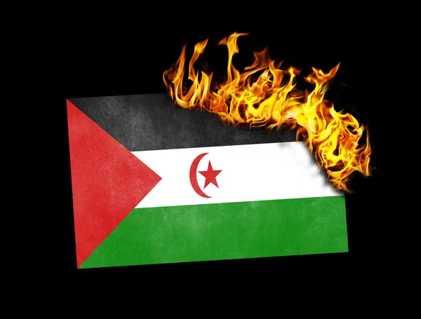 Brucia bandiera - Sahara occidentale — Foto Stock