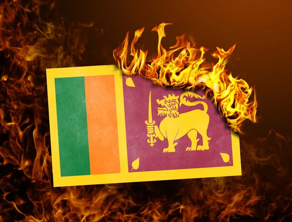 Flag burning - Sri Lanka — Stock Photo, Image