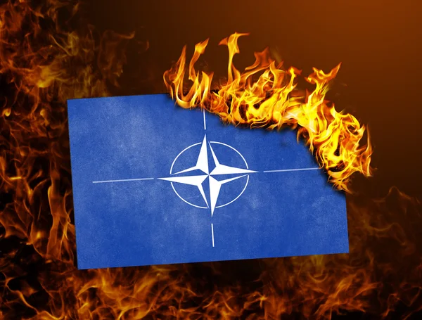 Σημαία καύση - ΝΑΤΟ — Φωτογραφία Αρχείου