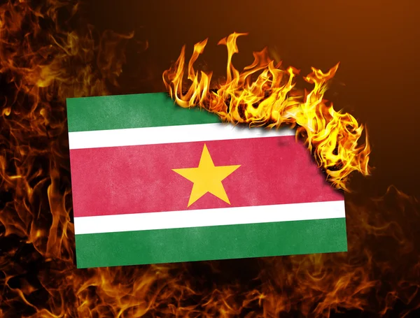 Quema de la bandera - Surinam — Foto de Stock