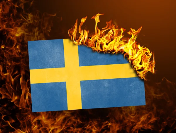 Flagga burning - Sverige — Stockfoto