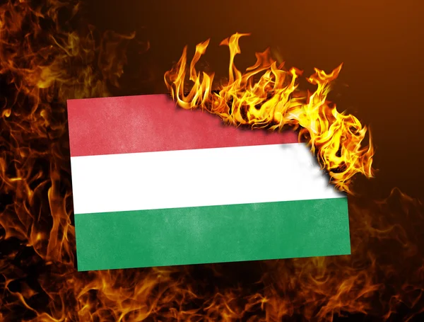 Flag burning - Hungary — Stock Photo, Image