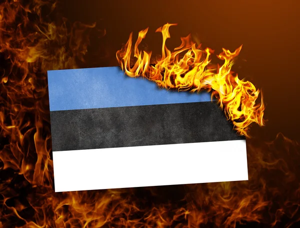 Quema de la bandera - Estonia —  Fotos de Stock