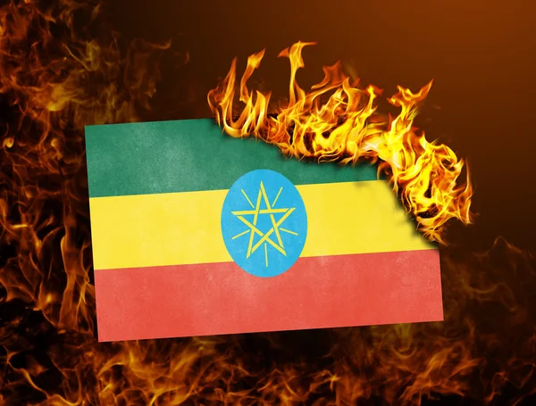 Flag burning - Ethiopia — Stock Photo, Image