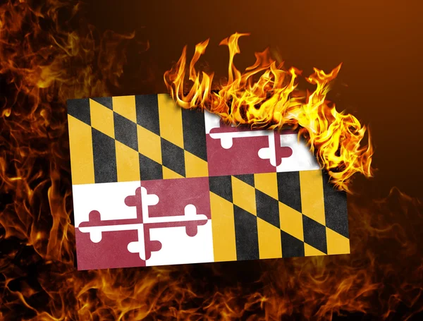 Flag burning - Maryland — Stock Photo, Image