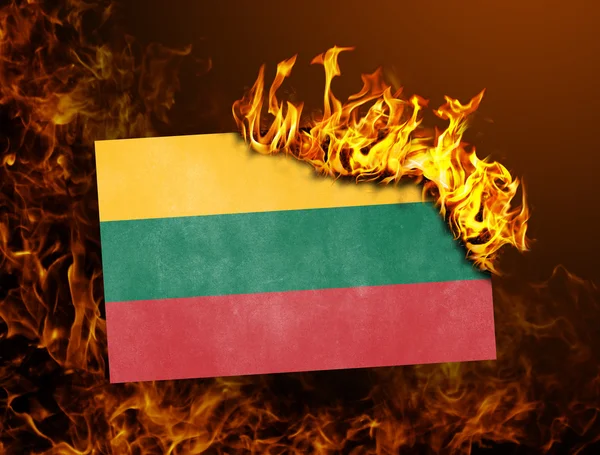 Bayrak yakma - Litvanya — Stok fotoğraf