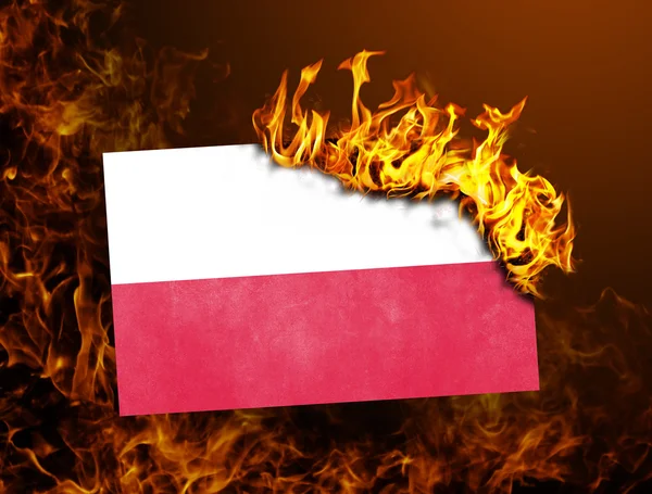 Flag burning - Poland — Stock Photo, Image