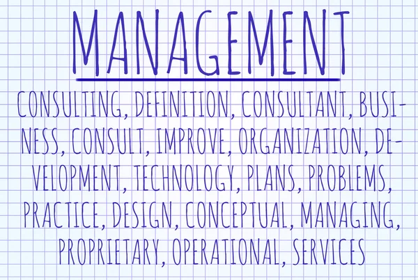 Management-Wortwolke — Stockfoto