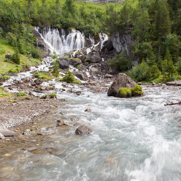 Ormanda şelale — Stok fotoğraf