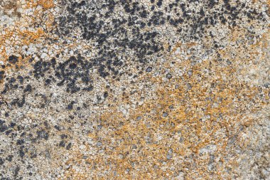 Eski kaya veya taş doku kapatın