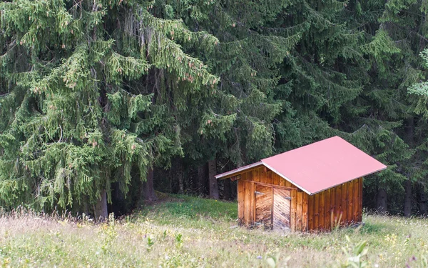 Typowy dom w Alpach Szwajcarskich — Zdjęcie stockowe