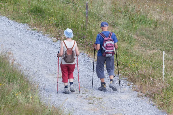 Senior toeristische paar wandelen in de prachtige bergen — Stockfoto
