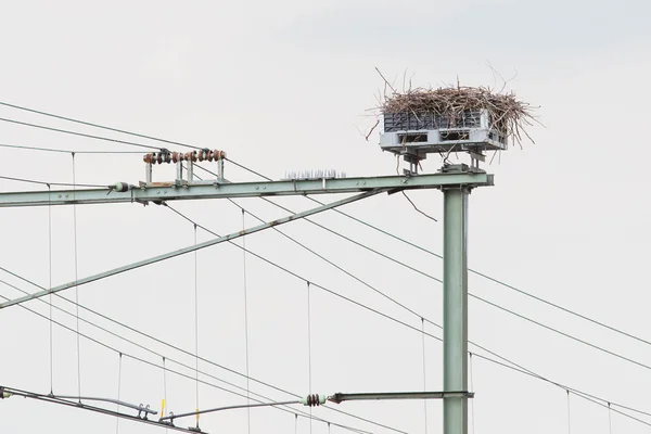 Stork nest on top of a railroad construction — Stock Photo, Image