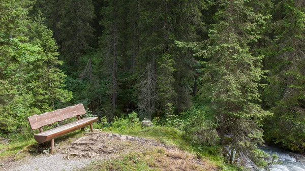 Пустая скамейка в швейцарском лесу — стоковое фото