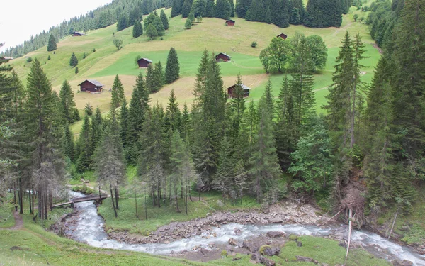 Typische huizen in de Zwitserse Alpen — Stockfoto