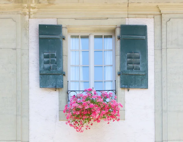 Janela velha e flores em um edifício histórico — Fotografia de Stock