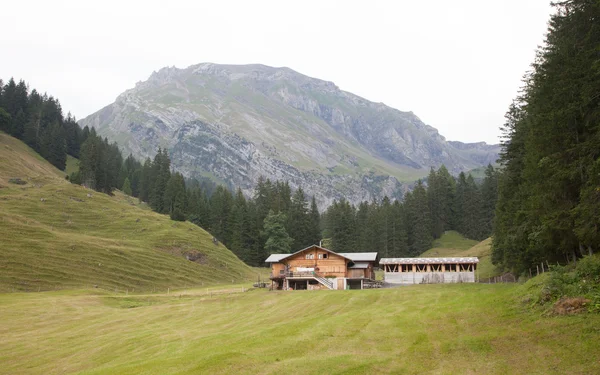 Typische boerderij in de Zwitserse Alpen — Stockfoto