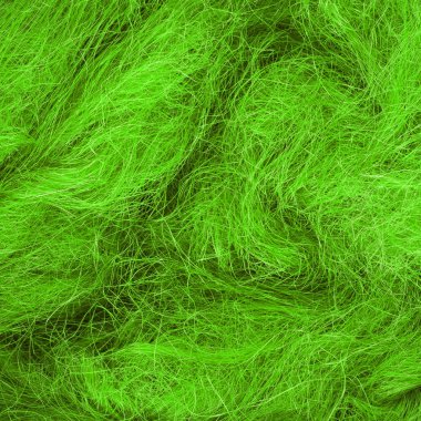 Vahşi saç yakın çekim