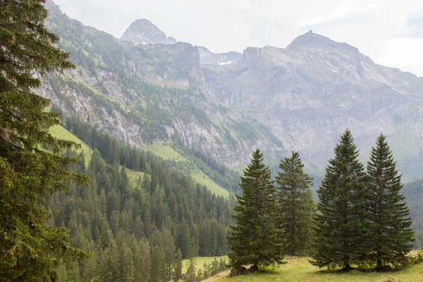 典型的瑞士阿尔卑斯山的看法 — 图库照片