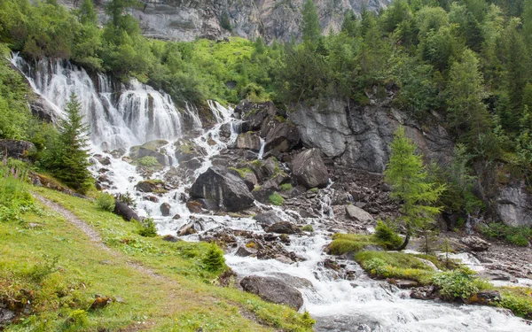 Водопад в лесу — стоковое фото