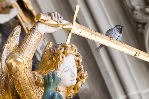 Berner Muenster, sparrow sitting on a sword — Stock Photo, Image