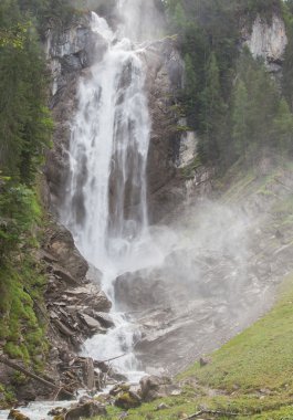 Ormanda şelale