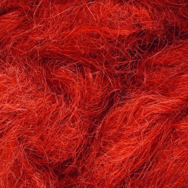 Vahşi saç yakın çekim