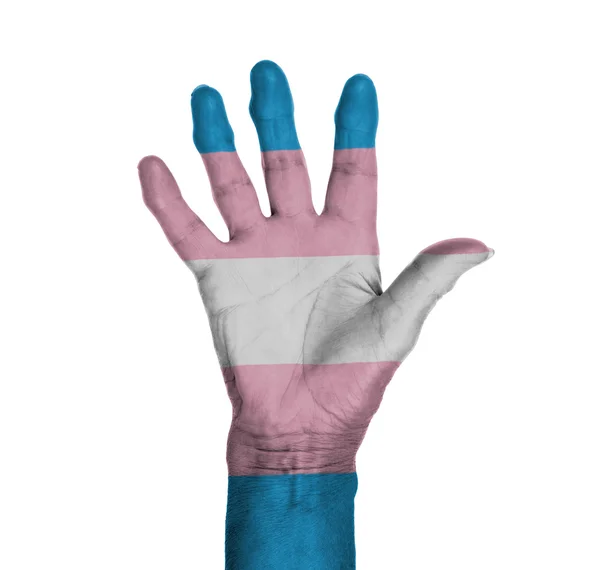 Bayrağı ile boyanmış bir kadın ellerimde — Stok fotoğraf