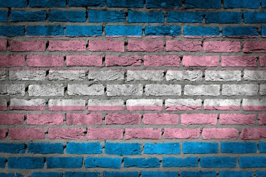 Karanlık tuğla duvar - Trans gurur