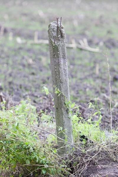 Poteau en béton brisé dans un champ — Photo