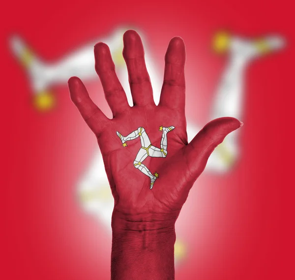 Palma de una mano de mujer, pintada con bandera — Foto de Stock