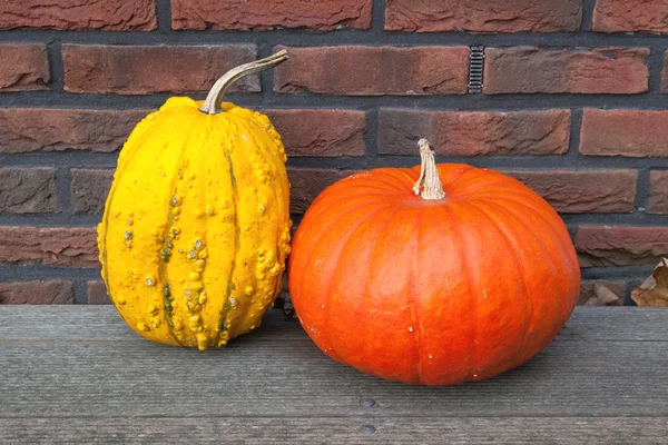 Zwei Halloween-Kürbisse — Stockfoto