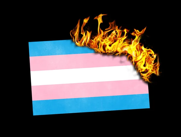 Fahnenverbrennung - trans pride — Stockfoto