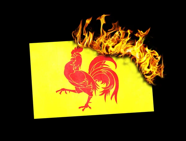 Сожжение флага - Валлония — стоковое фото