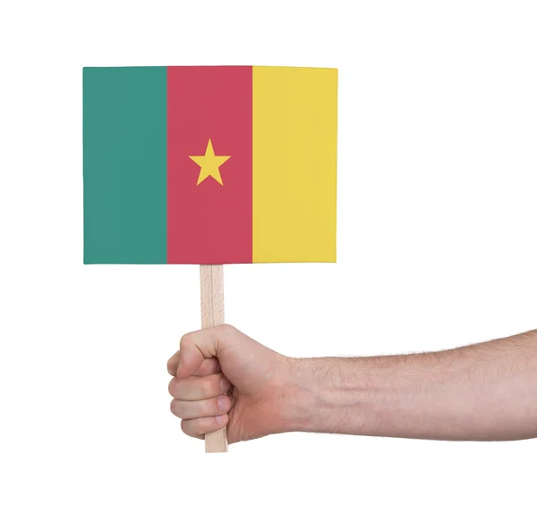 Mano che tiene piccola carta - Bandiera del Camerun — Foto Stock