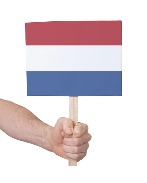 Mano con tarjeta pequeña - Bandera de los Países Bajos —  Fotos de Stock