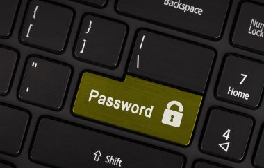 Metin parola düğmesini